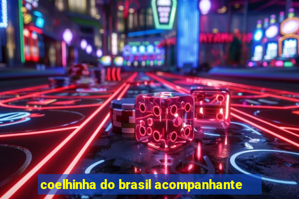 coelhinha do brasil acompanhante